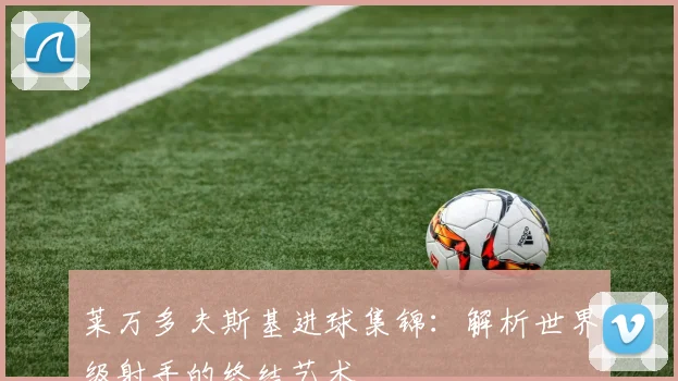 莱万多夫斯基进球集锦：解析世界级射手的终结艺术